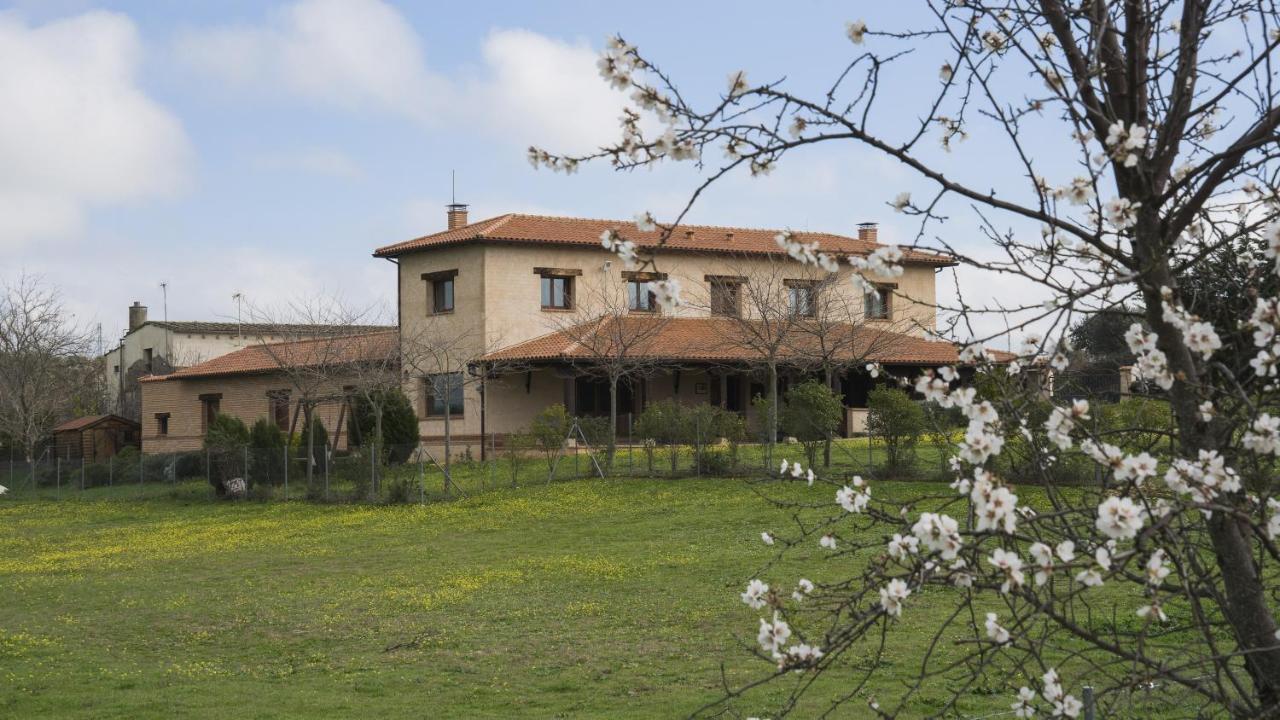 Casa Rural Pilon Del Fraile Oropesa Kültér fotó